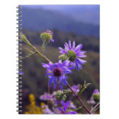 Carnet sauvage d'asters (Devant)