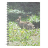 Carnet sauvage de Bunny (Devant)