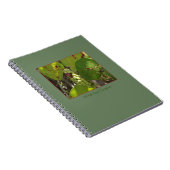 Carnet sauvage de raisins de mer de la Floride (Côté Droit)