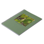 Carnet sauvage de raisins de mer de la Floride (Côté gauche)