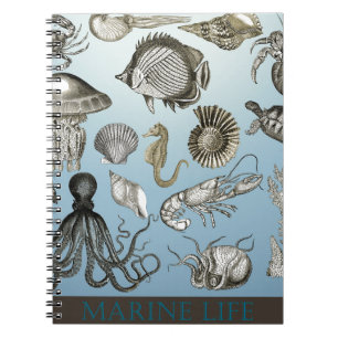 Carnet Sauvez l'espèce marine !