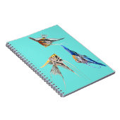 Carnet Scalar fish (Côté Droit)