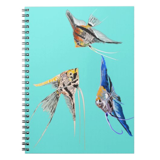 Carnet Scalar fish (Devant)
