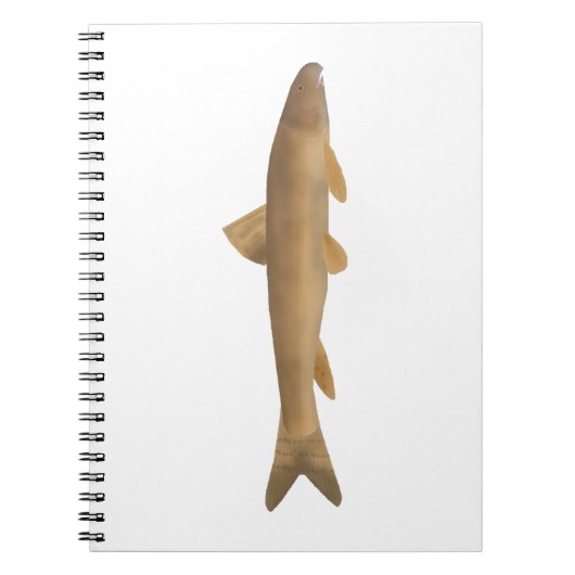 Carnet Scaly Osman (Devant)