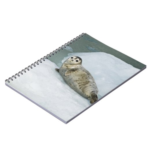 Carnet Sceau du port (Côté gauche)