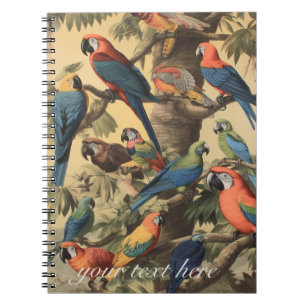 Carnet Scène botanique vintage perroquets colorés dans un