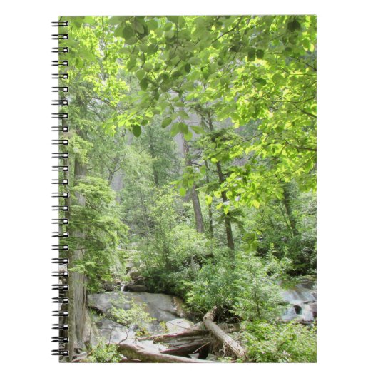 Carnet Scène de Forêt Verte Magique. (Devant)