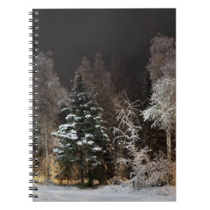 Carnet Scène de nuit forestière hivernale cosy