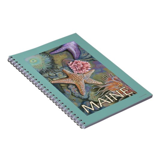 Carnet Scène MaineTidepool (Côté Droit)