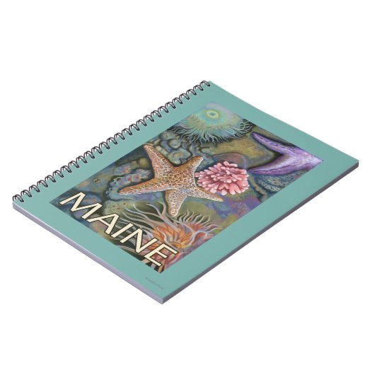 Carnet Scène MaineTidepool (Côté gauche)