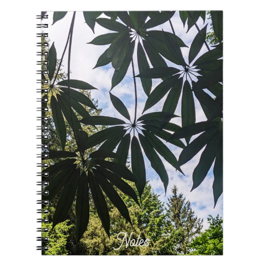 Carnet Schefflera Plante Feuilles Floral (Devant)