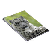 Carnet Schneeleopard (Côté Droit)