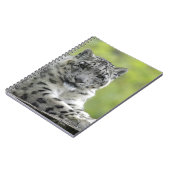 Carnet Schneeleopard (Côté gauche)