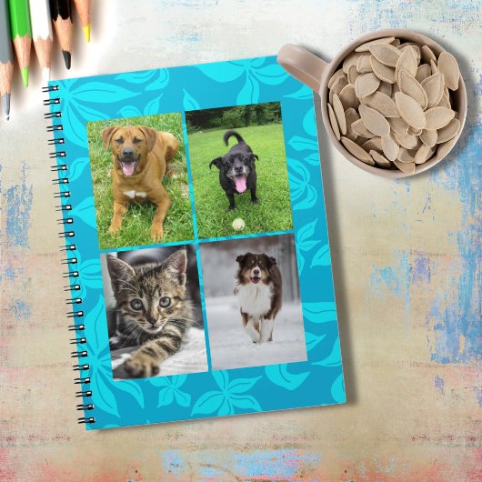 Carnet School Four Photo Blue Flowers Classroom