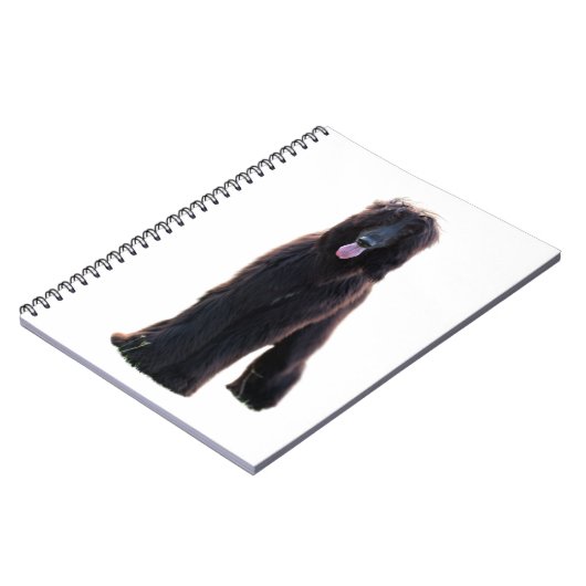 Carnet Schwarzer Afghane (Côté gauche)