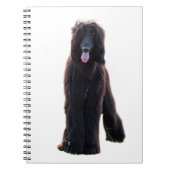 Carnet Schwarzer Afghane (Devant)