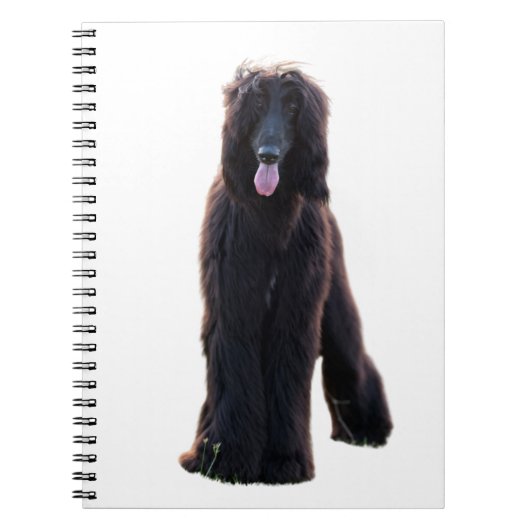 Carnet Schwarzer Afghane (Devant)