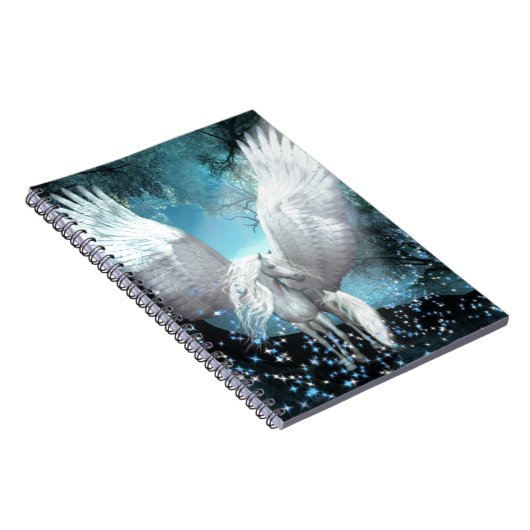Carnet Scintillement Pegasus (Côté Droit)