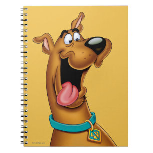 Carnet Scooby Doo Visage Excité