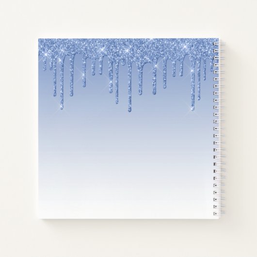 Carnet Script élégant moderne Parties scintillant bleue D (Dos)