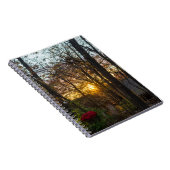 Carnet Sdc Woods Sunset (Côté Droit)