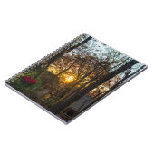 Carnet Sdc Woods Sunset (Côté gauche)