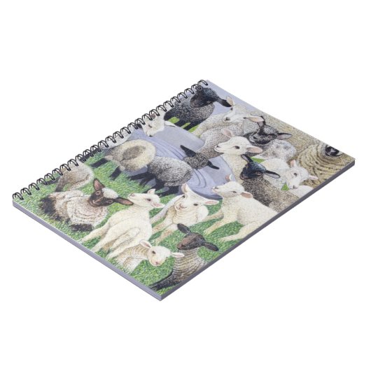 Carnet Se sentir timide (Côté gauche)