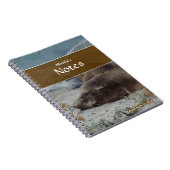 Carnet Sea Lion (Côté Droit)