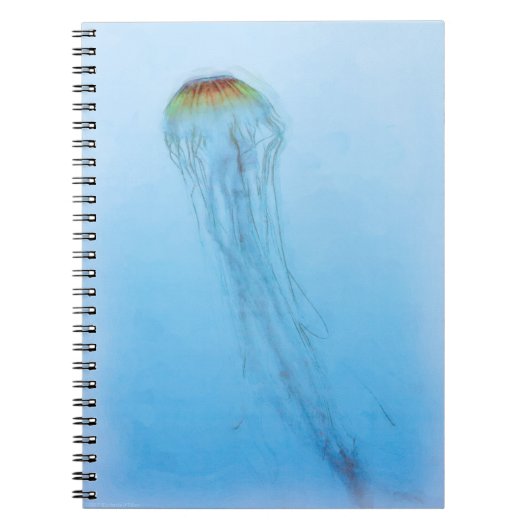 Carnet Sea Nettle (Devant)