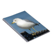 Carnet Seagull (Côté Droit)