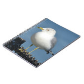 Carnet Seagull (Côté gauche)