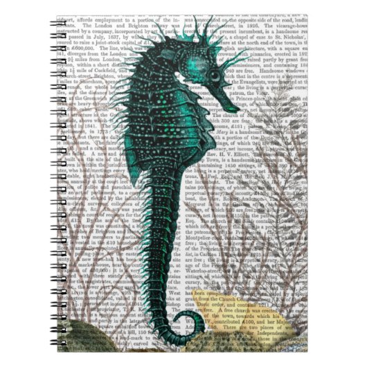 Carnet SeaHorse et SeaUrchins (Devant)