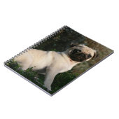 Carnet Séance de chiot de carlin de faon (Côté gauche)