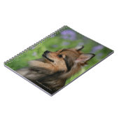 Carnet Séance de Headshot de Pomeranian (Côté gauche)