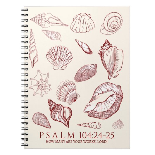 Carnet Seashell Bible Verse (Devant)