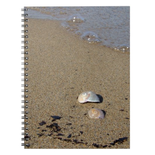 Carnet Seashell Seashore (Devant)