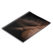 Carnet Seattle (Côté gauche)