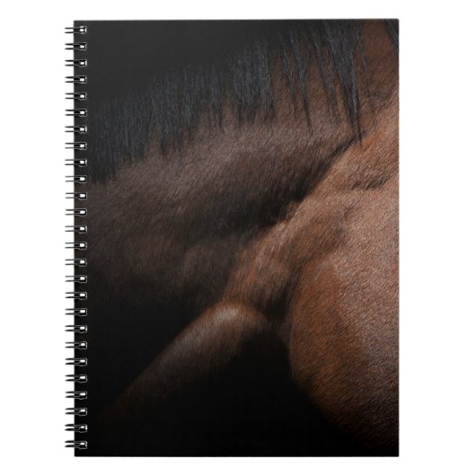 Carnet Seattle (Devant)