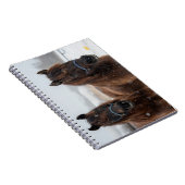 Carnet Secourt Cheval AHT (Côté Droit)
