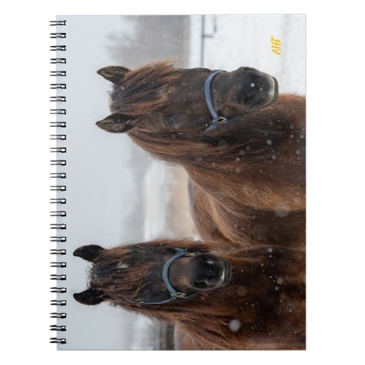 Carnet Secourt Cheval AHT (Devant)