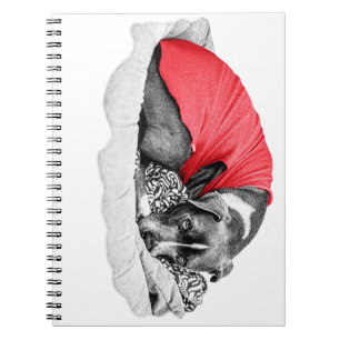 Carnet Secrets d'automne en Scarlet