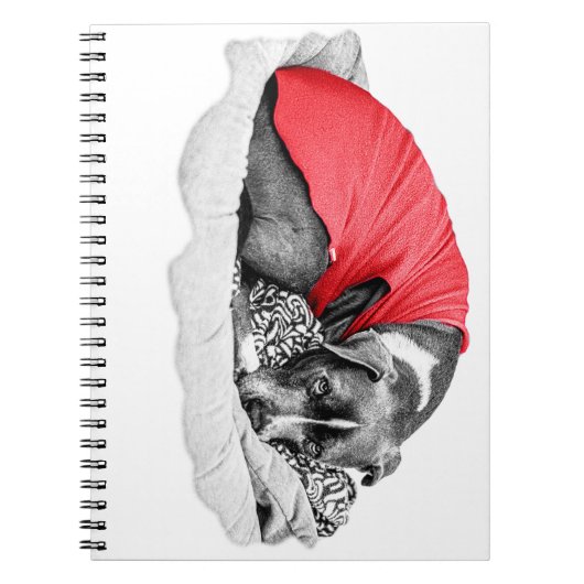 Carnet Secrets d'automne en Scarlet (Devant)