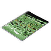 Carnet Section transversale de feuille (Côté gauche)