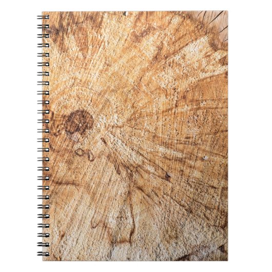 Carnet Section transversale du pommier (Malus)abstrait, b (Devant)