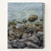 Carnet sédatifs (Dos)