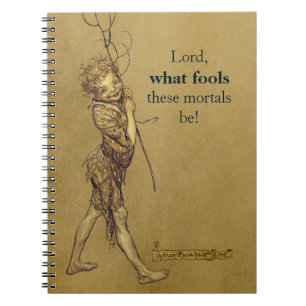 Carnet Seigneur de galet d'Arthur Rackham quels imbécile