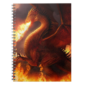 Carnet Seigneur des dragons