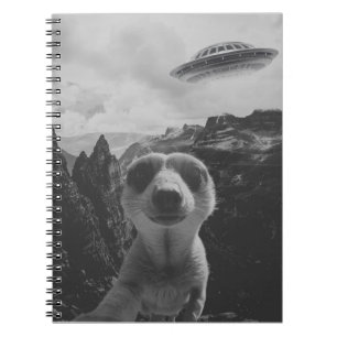 Carnet Selfie de suricate dans un paysage de montagne sur