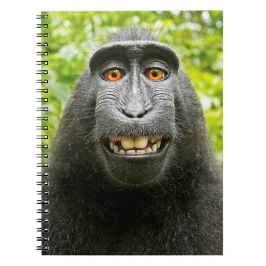 Carnet Selfie singe (Devant)