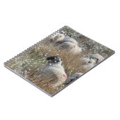 Carnet Semelles de vente en pelouse de coton dans le Nort (Côté gauche)